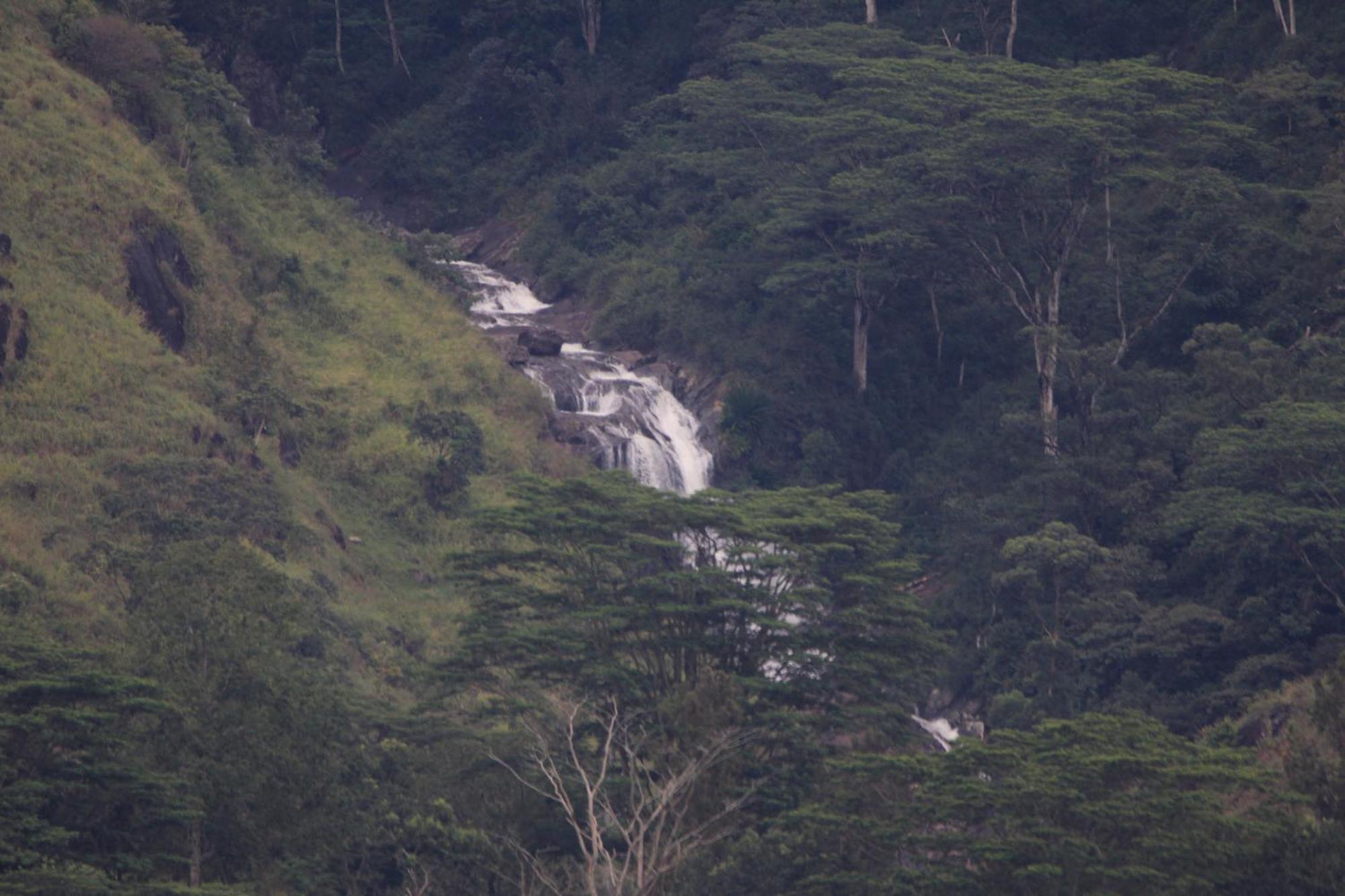 Rohana Estate Lodging & Camping Kandy Exterior foto